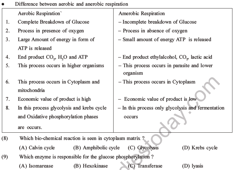 NEET Biology Respiration MCQs Set A-7