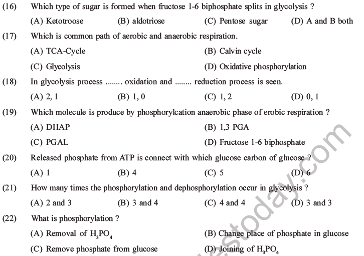 NEET Biology Respiration MCQs Set A-9