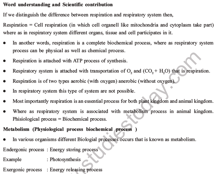 NEET Biology Respiration MCQs Set A