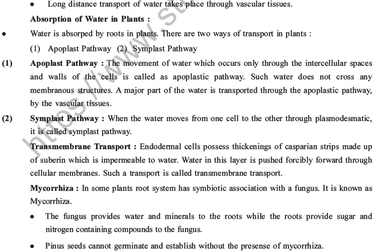 NEET Biology Transport in Plants MCQs Set A-6