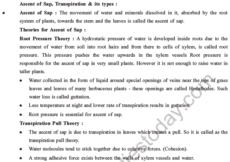 NEET Biology Transport in Plants MCQs Set A-7