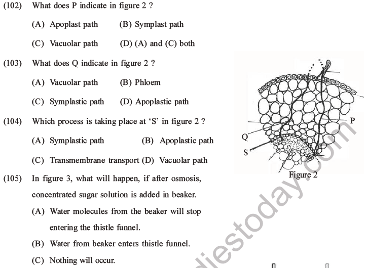 NEET Biology Transport in Plants MCQs Set A-Q102