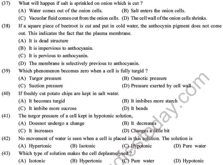 NEET Biology Transport in Plants MCQs Set A-Q37