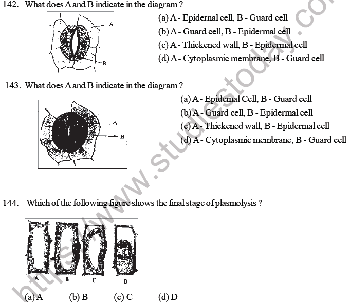 NEET Biology Transport in Plants MCQs Set B-1