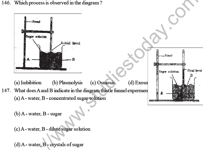 NEET Biology Transport in Plants MCQs Set B-3