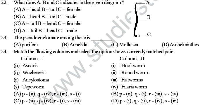 NEET UG Biology Animal Kingdom MCQs, Multiple Choice Questions