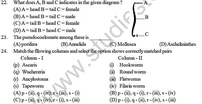 NEET UG Biology Animal Kingdom MCQs-1