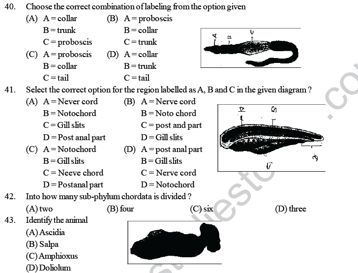 NEET UG Biology Animal Kingdom MCQs-2