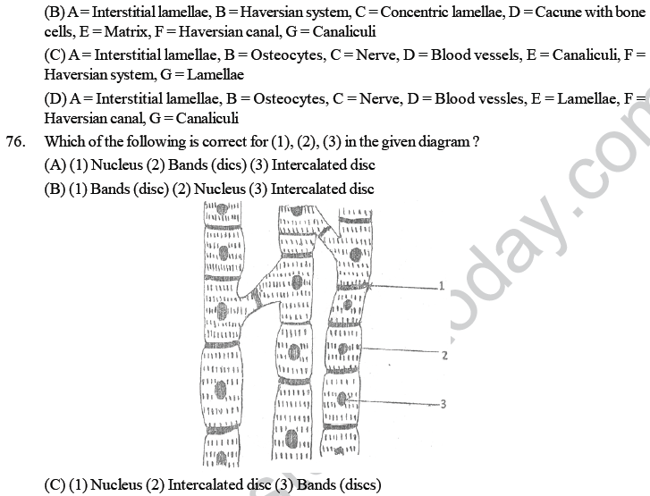 NEET UG Biology Animal Tissue MCQs-5