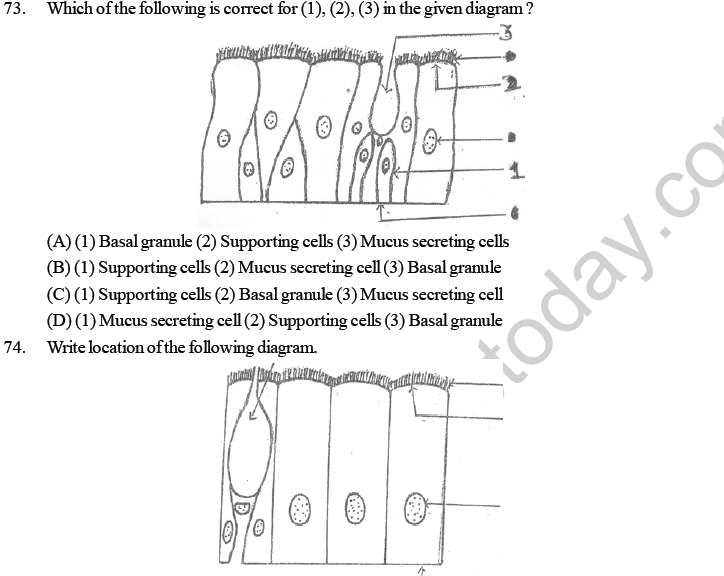 NEET UG Biology Animal Tissue MCQs-7