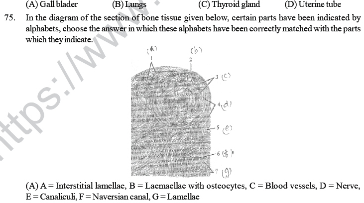 NEET UG Biology Animal Tissue MCQs-8