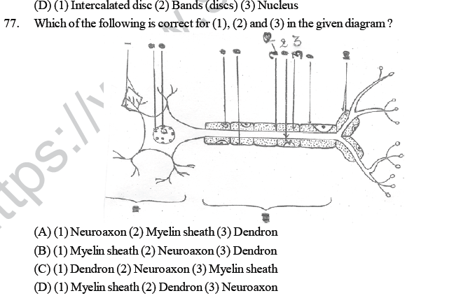 NEET UG Biology Animal Tissue MCQs, Multiple Choice Questions