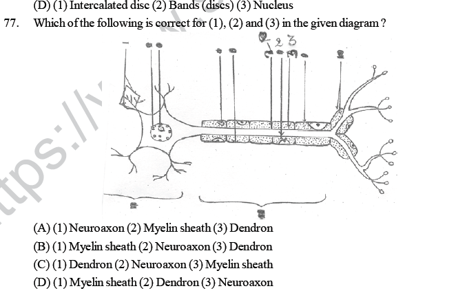 NEET UG Biology Animal Tissue MCQs-9