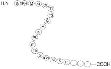 NEET UG Biology Biomolecules 2 MCQs-