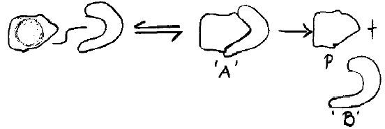 NEET UG Biology Biomolecules 2 MCQs-14