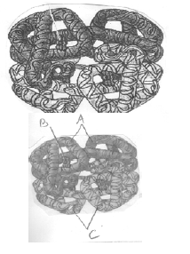 NEET UG Biology Biomolecules 2 MCQs-2