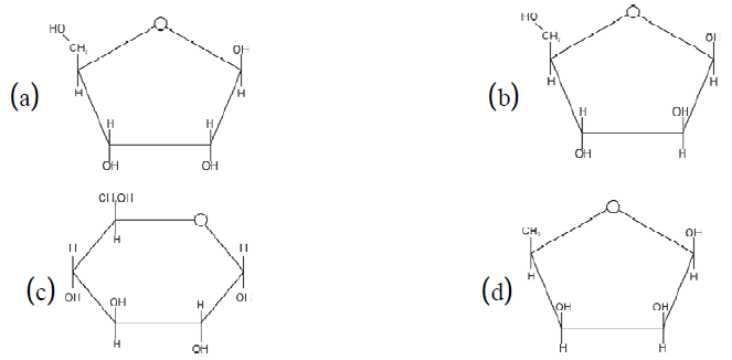 NEET UG Biology Biomolecules 2 MCQs-3