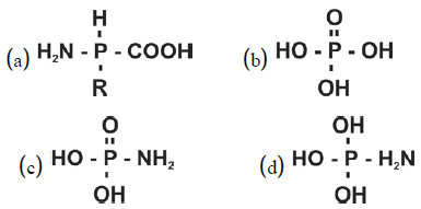 NEET UG Biology Biomolecules 2 MCQs-4