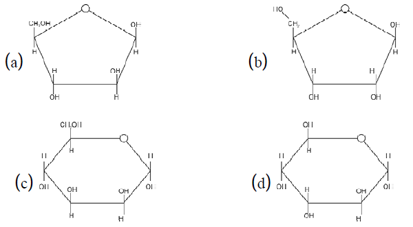 NEET UG Biology Biomolecules 2 MCQs-5