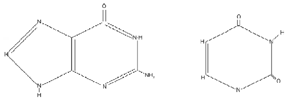 NEET UG Biology Biomolecules 2 MCQs-8