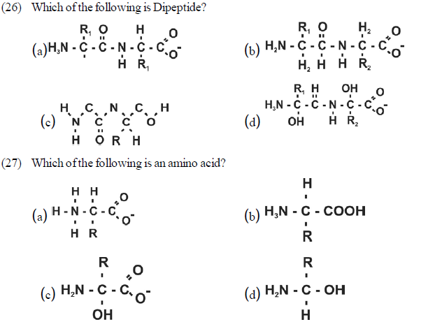 NEET UG Biology Biomolecules 2 MCQs