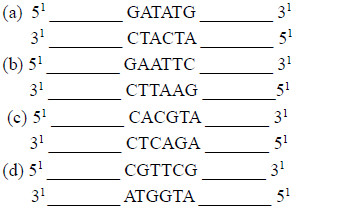 NEET UG Biology Biotechnology Principles and processes MCQs-5