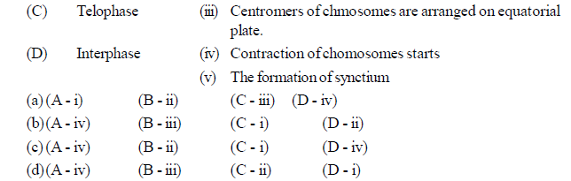 NEET UG Biology Cell Cycle and Cell Divisions MCQs-1