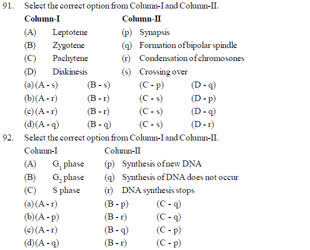 NEET UG Biology Cell Cycle and Cell Divisions MCQs-6