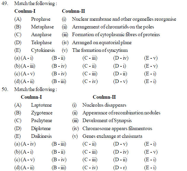 NEET UG Biology Cell Cycle and Cell Divisions MCQs