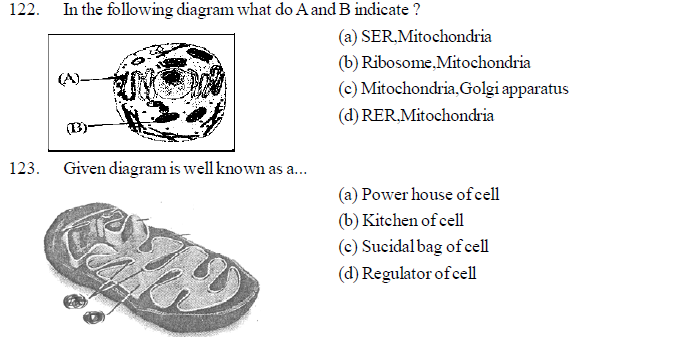 NEET UG Biology Cell structure MCQs-6