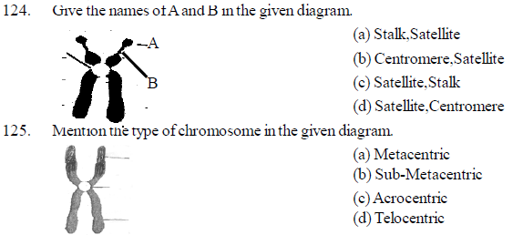 NEET UG Biology Cell structure MCQs-7