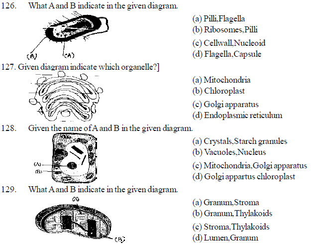 NEET UG Biology Cell structure MCQs-8