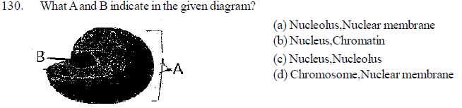 NEET UG Biology Cell structure MCQs-9