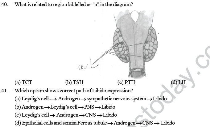 NEET UG Biology Chemical Coordination and Control MCQs-2