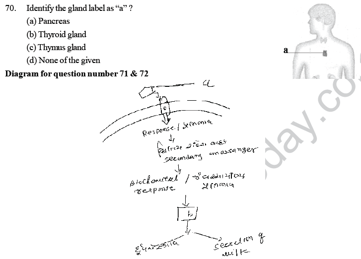 NEET UG Biology Chemical Coordination and Control MCQs-5