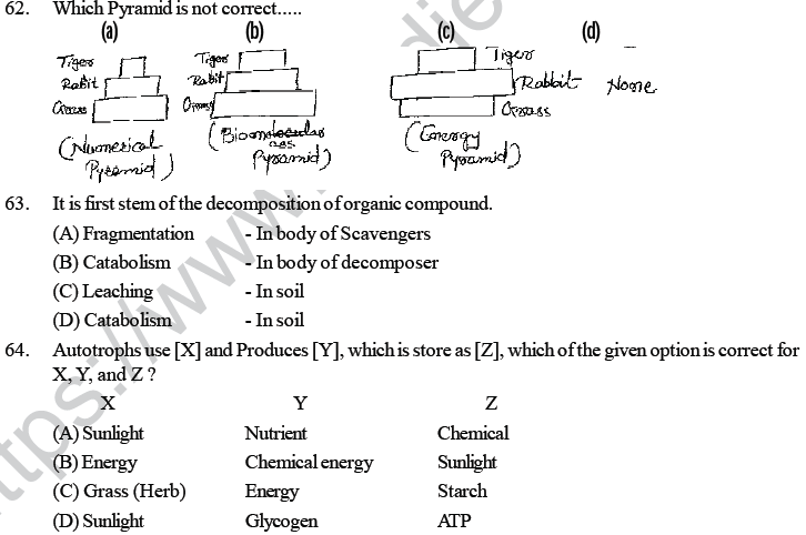 NEET UG Biology Ecosystem MCQs-7