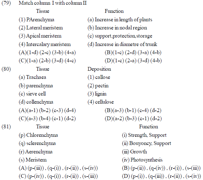 NEET UG Biology Plant Anatomy Plant Tissues MCQs