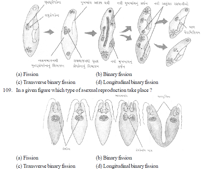 Competitive Exam's MCQ 115. The production of new plant from the maternal plant is called. (CPMT=2003) (a) Vegetative reproduction (b) Cutting (c) Grafting (d) Layering 116. Which of the following plant reproduces by leaf ? (DPMT-2003) (a) Agave (b) Bryophyllum (c) Gladiolus (d) Potato 117. Pollen tube enters the embryo sac through (AIIMS-2004) (a) Any one synergid cell (b) Directly penetrating the egg cell (c) In between one synergid cell and secondary nucleus. (d) The help of antipodal cells. 118. Grafting is impossible in monocot-because (UTTRANCHAL PMT-2004) (a) Vascular bundles are scattered. (b) Meristem is absent (c) Collateral open vascular bundle (d) Radial vascular bundle. 119. If vegetative growth of the plant takes place but flower production does not occur-then what could be the reason for this? (a) Imbalance of hormones (b) Photoperiod (c) Imbalance of sugar in water (d) Irregular transport of solute. 120. What is the name of the technique for the production of large number of top? (a) Top production (b) Organo genesis (c) Micro culture (d) Embryo culture 121. Where does the culture of haploid pollen grain is useful in plant breeding? (a) For production of better hybrid (b) For production of homogametic organisms. (c) For production of disease causing organisms (d) None of this 122. Haploid plants are obtained by culture of- (a) Young leaves (b) Endosperm (c) Pollen grain (d) Root apex 123. Which of the following is associated with vegetative reproduction? (a) Combination of pre existing cytoplasm. (b) Tissue culture (c) Endo static fertilization (d) (a) and (b) Both. 124. With the help of which quick cell division could be induced? (a) By T1 plasmid (b) PBR-32 (c) F-speed (d) By sexual plasmid Downloaded from www.studiestoday.com Downloaded from www.studiestoday.com 344 Questionbank Biology 125. Which auxin is used in callus and suspension culture technique in general? (a) Napthelene acetic acid (b) 2-4 Dichloro acetic acid (c) 2,4,5, Tri phenoxy acetic acid (d) 2,4 dichloro phenoxy acetic acid. 126. Which of the following animal shows longitudinal binary fission? (a) Englena (b) Plasmodium (c) Planaria (d) Paramoecium 127. Identify the mis-match statement regarding post fertilization events from the following statements. (a) Wall of ovary is converted in to pericarp. (b) Outer integument is converted in inner integument (c) Triploid nucleus develops as endosperm (d) Ovary is developed as fruit. 128. In cryptogamic tracheophyte's prothallus the male gamate and an egg are produceed at different time.the reason for this is- (a) Because they possess higher sterility (b) They are produced from cells which are meiotically formed. (c) Because they does not allow self fertilization. (d Because there is no change in their successful fertilization rate. 129. What type of fruit will be produced by fixing the stock of sour juice producing branch on scion of plant having sweet branch? (a) Sweet and fibrous (b) Sweet and juicy (c) Sour and juicy (d) Sour and fibrous 130. How man eggs will be formed from an ovary of a woman,in absence implantation of an embryo? (a) 12 (b) 06 (c) 24 (d) 48 131. Which tissue is required to be present in between stock and scion during grafting? (a) Xylem (b) Phloem (c) Meristem (d) Parenchyma. 132. Where does maturity is observed in the sporophytic stage of the plants? (a) In gemina (b) In primay structures (c) In sporophylls (d) In eggs. 133. If primary spermetocyte have 2n=16 chromosomes during first meiotic division,in such case how many chromatids could be present in each secondary spermatocyte? (a) 32 (b) 8 (c) 16 (d) 24