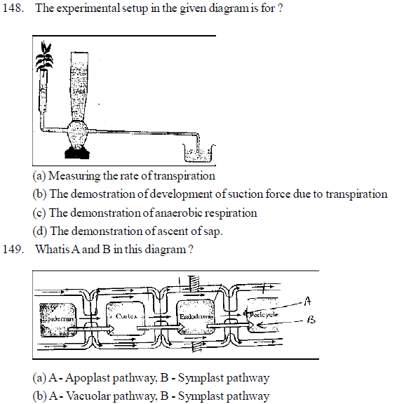 NEET UG Biology Transport in Plants MCQs-5