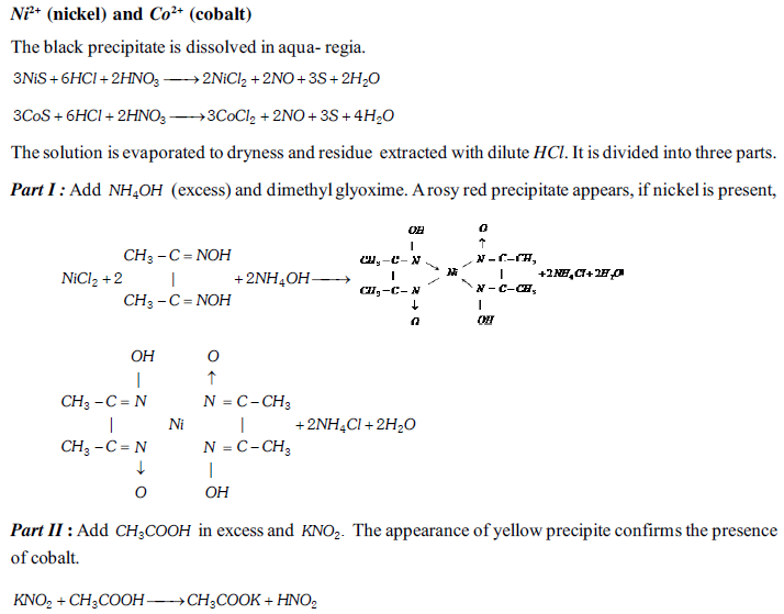 NEET UG Chemistry Practicals-13