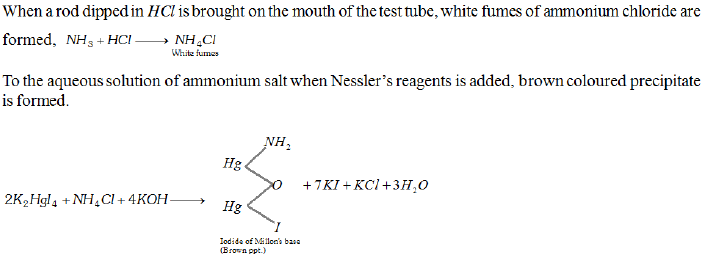 NEET UG Chemistry Practicals-16