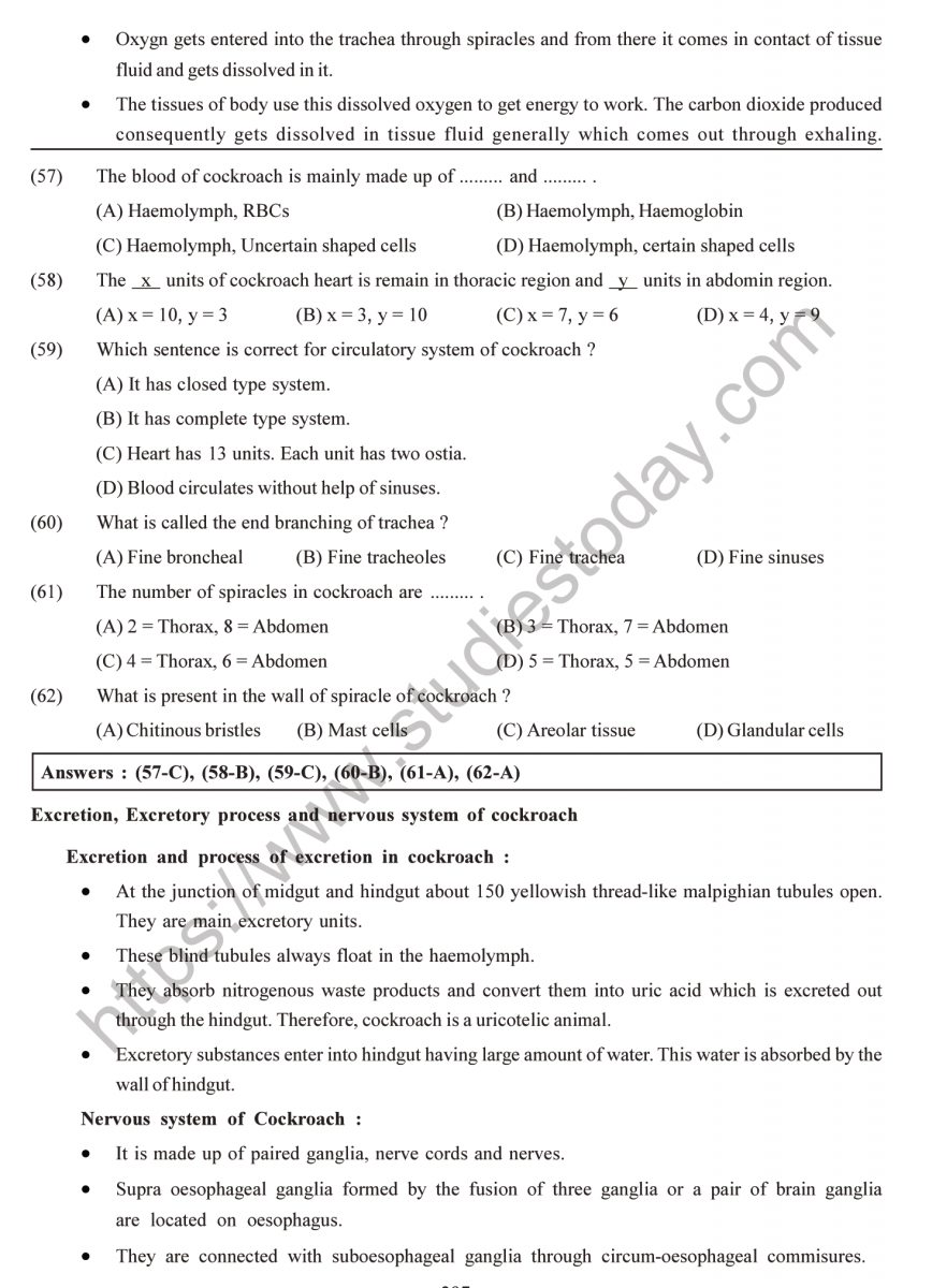 NEET-Biology-Animal-Morphology-and-Anatomy-MCQs-Set A()-12