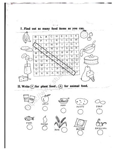 CBSE Class 2 EVS Practice Worksheets (20)-Our Food (2) 1