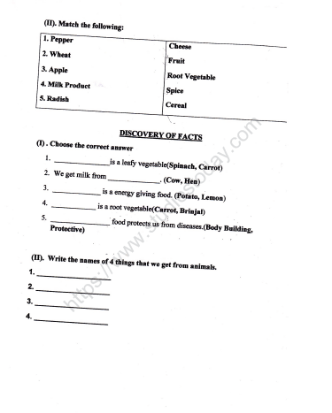 CBSE Class 2 EVS Practice Worksheets (20)-Our Food (2) 4