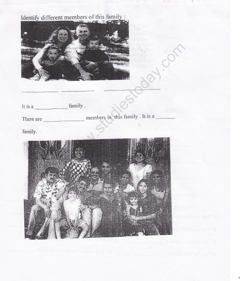 CBSE Class 2 EVS Practice Worksheets (22)-My Family 1