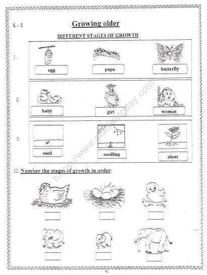 CBSE Class 2 EVS Practice Worksheets (73) - Growing Older