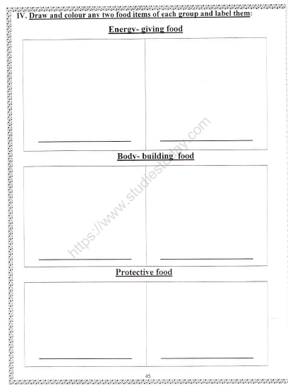 CBSE Class 2 EVS Practice Our Food Habits Worksheet