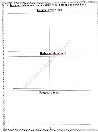 CBSE Class 2 EVS Practice Worksheets (75) - Our Food Habits 2