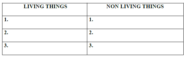 CBSE Class 2 EVS Practice Worksheets (83) - Our Environment 2