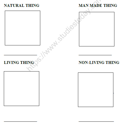 CBSE Class 2 EVS Practice Worksheets (83) - Our Environment 3